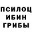 Галлюциногенные грибы Psilocybine cubensis Igor Chistyakov