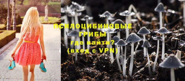 крисы Рославль
